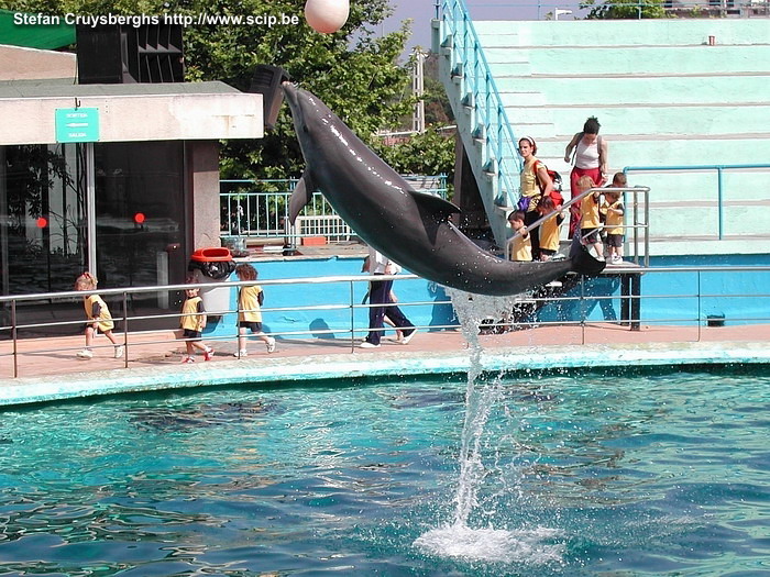 Barcelona Zoo - Dolfijnen show  Stefan Cruysberghs